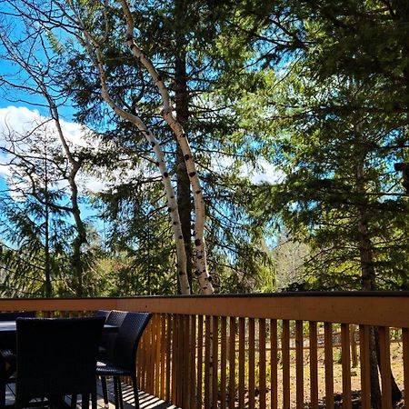 Timber Wolf Βίλα Woodland Park Εξωτερικό φωτογραφία